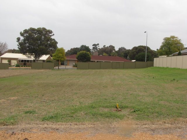 23 McLean Street, BERRI, SA 5343