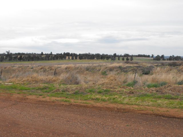 Lot 1 Cookamidgera Road, PARKES, NSW 2870