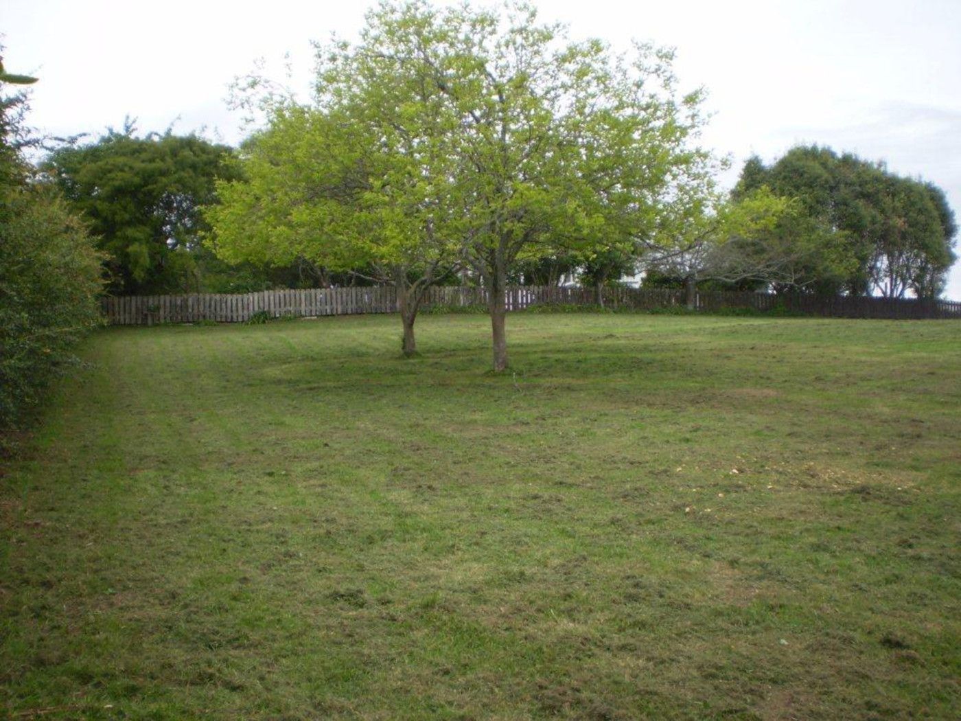 0 McAndrew Street, KIHIKIHI, Waipa District