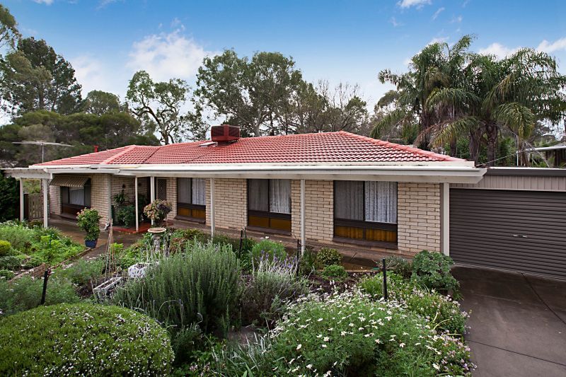 6  Corio Street, MODBURY SA 5092