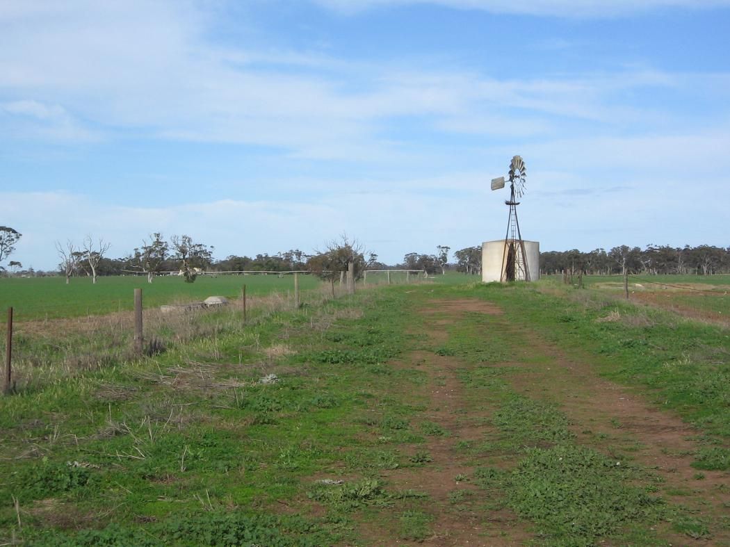 Sunnyside Pigeon Flat Road, BORDERTOWN, SA 5268