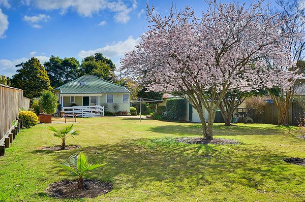 10 Royston Parade, ASQUITH, NSW 2077