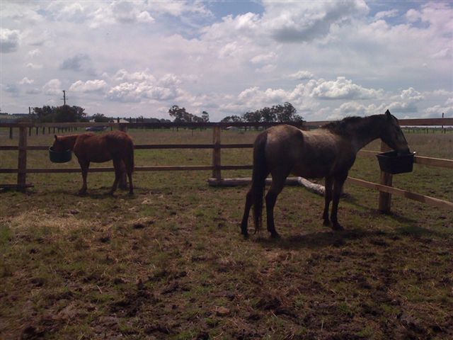Lot 5 Colemans Road, GOOMBUNGEE, QLD 4354