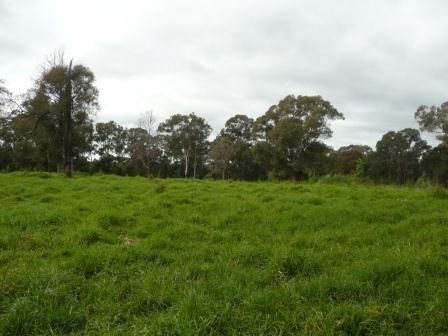 170 Russell Lane, OAKDALE, NSW 2570