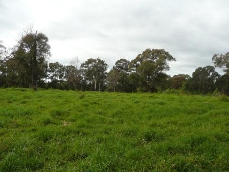 170 Russell Lane, OAKDALE, NSW 2570