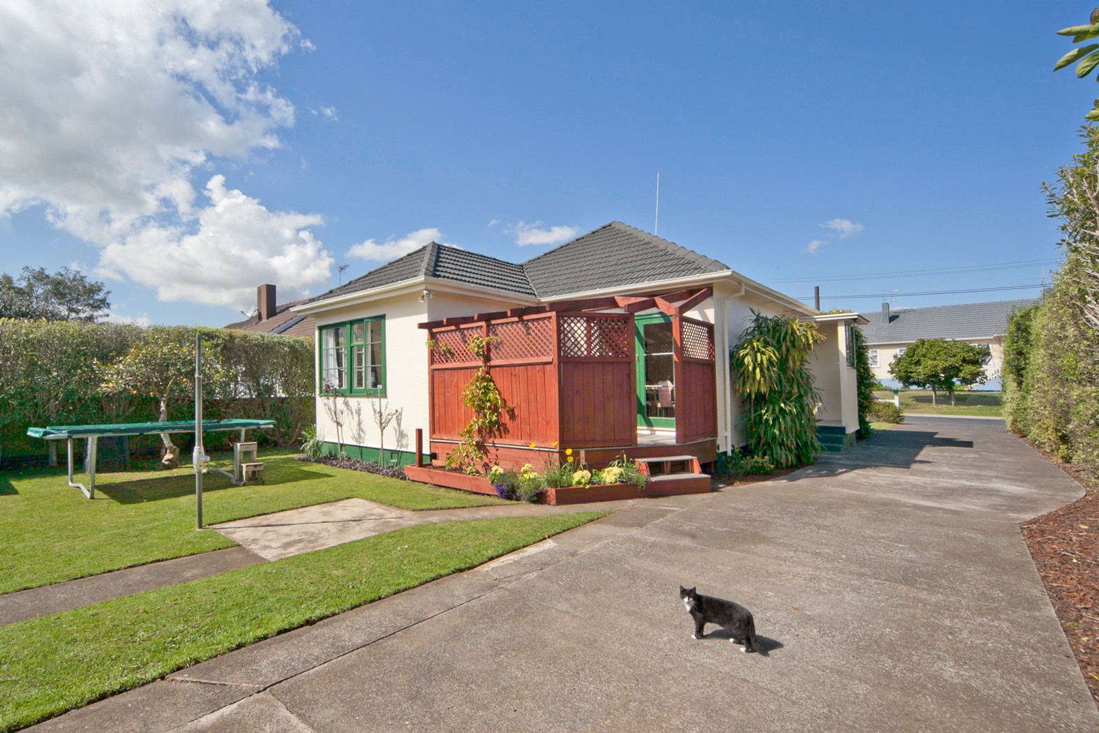 8 Roosevelt Avenue, ONEHUNGA, Auckland City