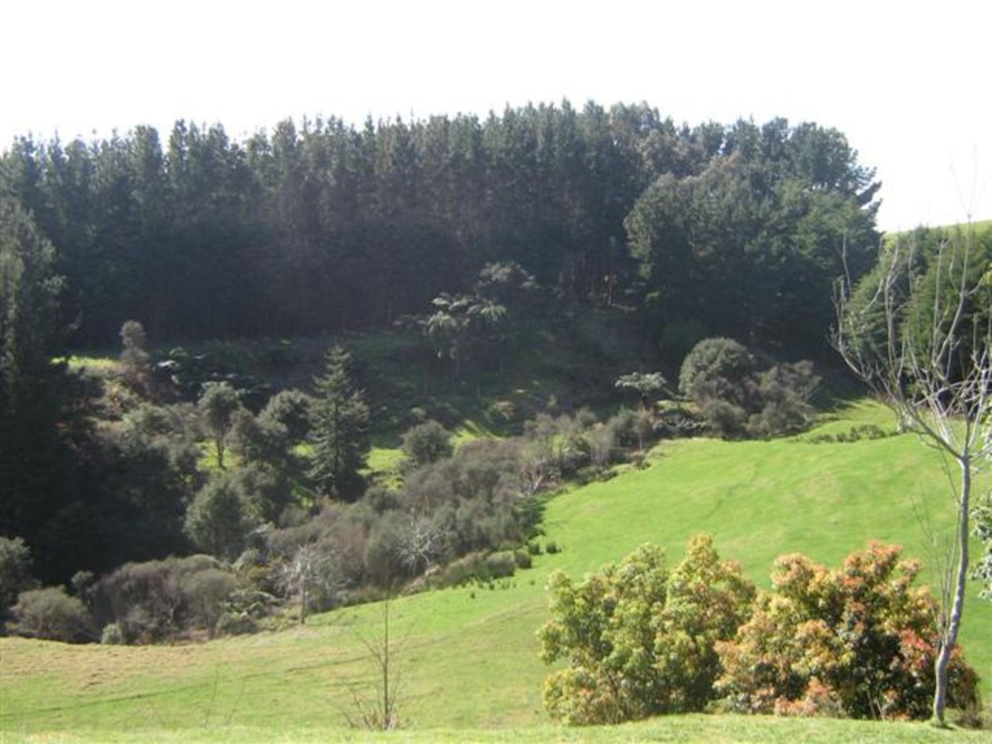 Pukekawa, Waikato District