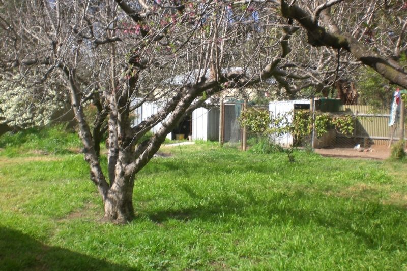 54 Hume Street, HOWLONG, NSW 2643