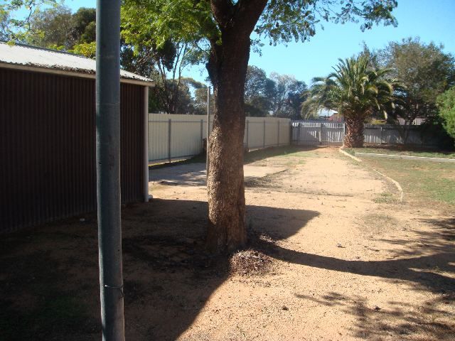 1 Oak Street, LOXTON, SA 5333