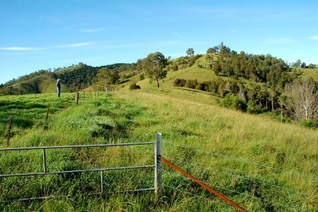 Lot 21 Bakers Creek Road, GLOUCESTER, NSW 2422