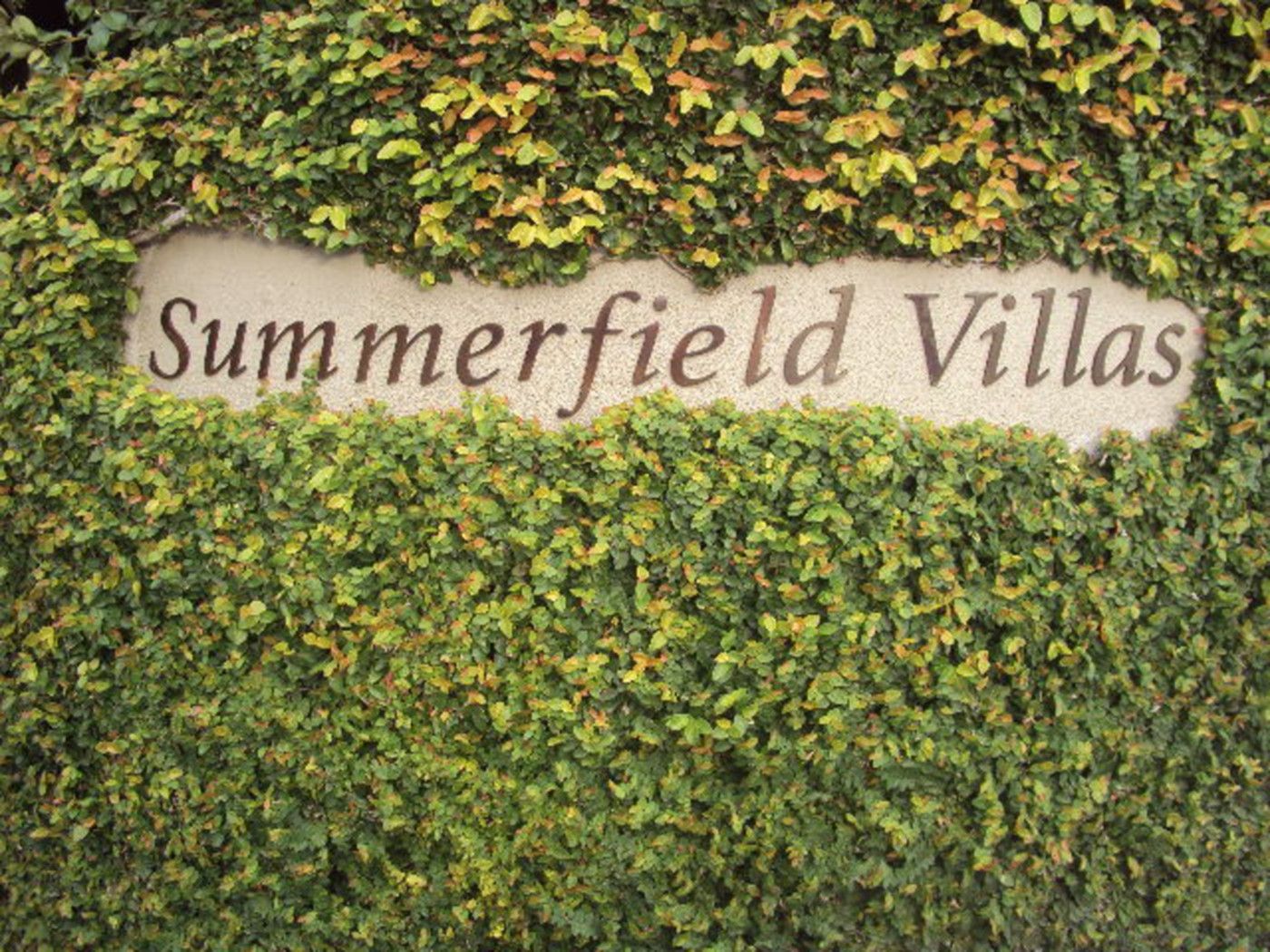 GREY LYNN, Auckland City