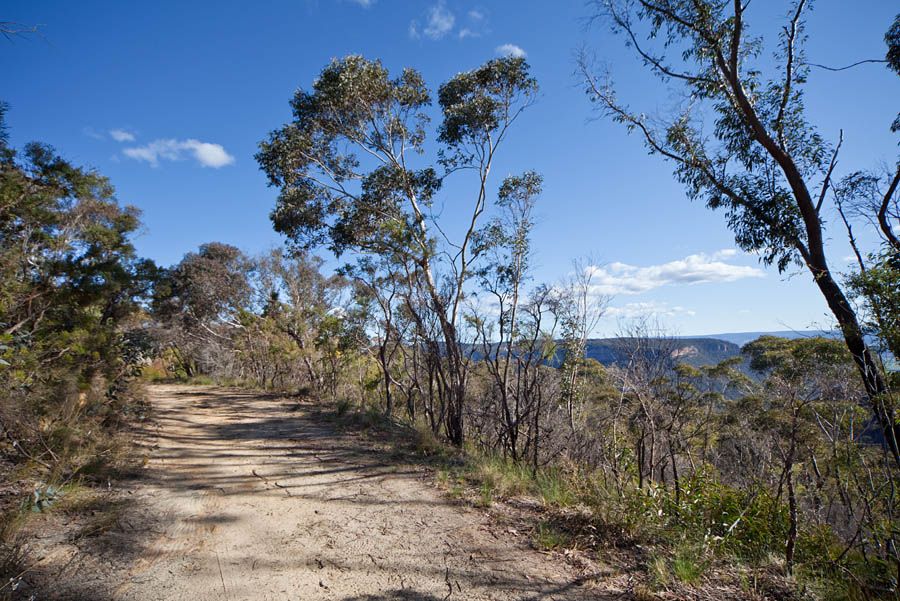 47-53 Ada Road, BLACKHEATH, NSW 2785