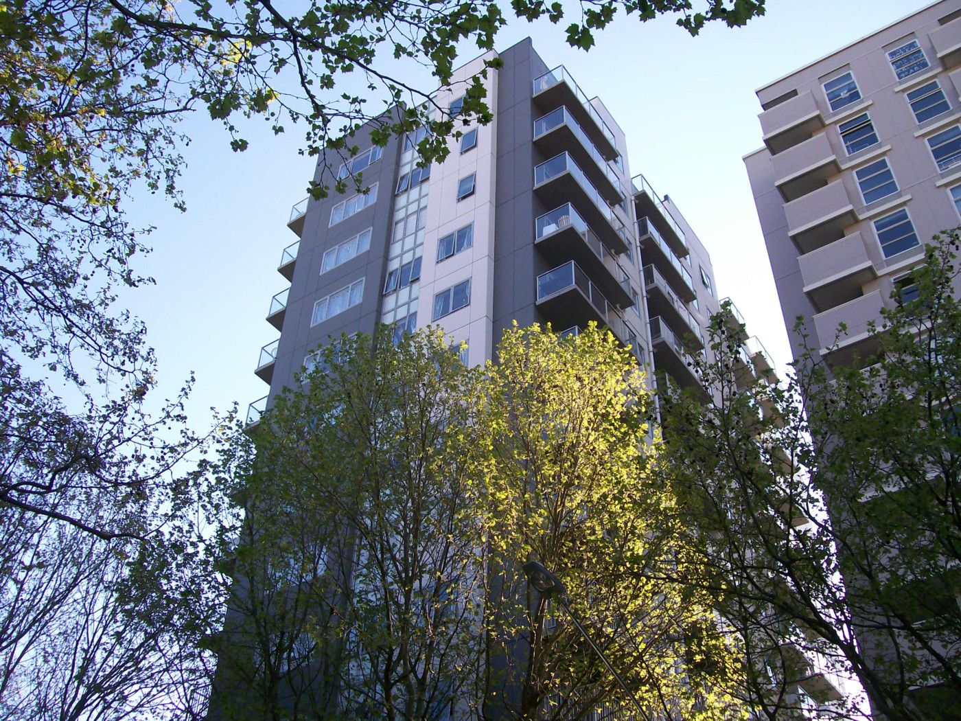AUCKLAND CENTRAL, Auckland City