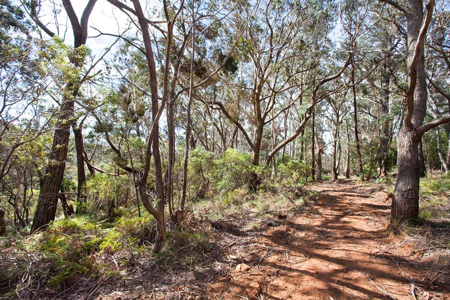 97 Connaught Road, Blackheath, NSW 2785