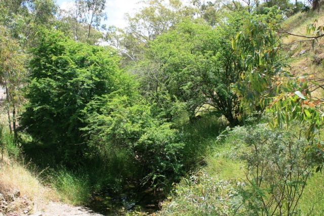 Lot 4  Campbell Road, PENWORTHAM, SA 5453