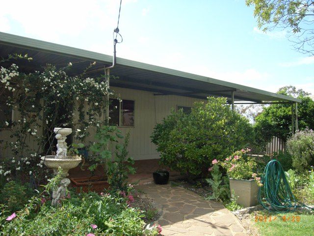 31 Slaughter Street, THREE SPRINGS, WA 6519