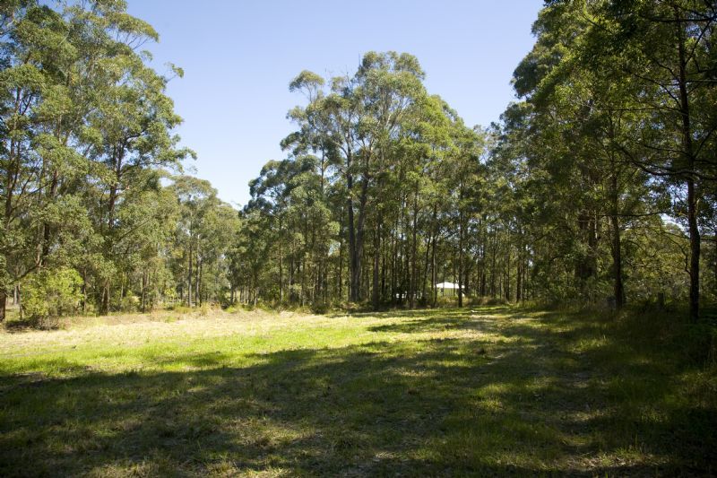 MITCHELLS ISLAND, NSW 2430