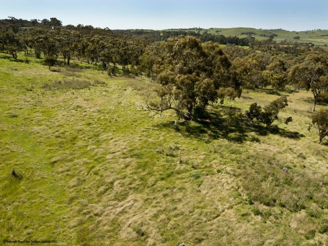 Lots 1 and 2 Govt, PENWORTHAM, SA 5453
