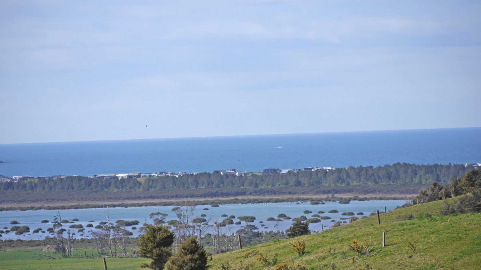 MATAKANA, Rodney