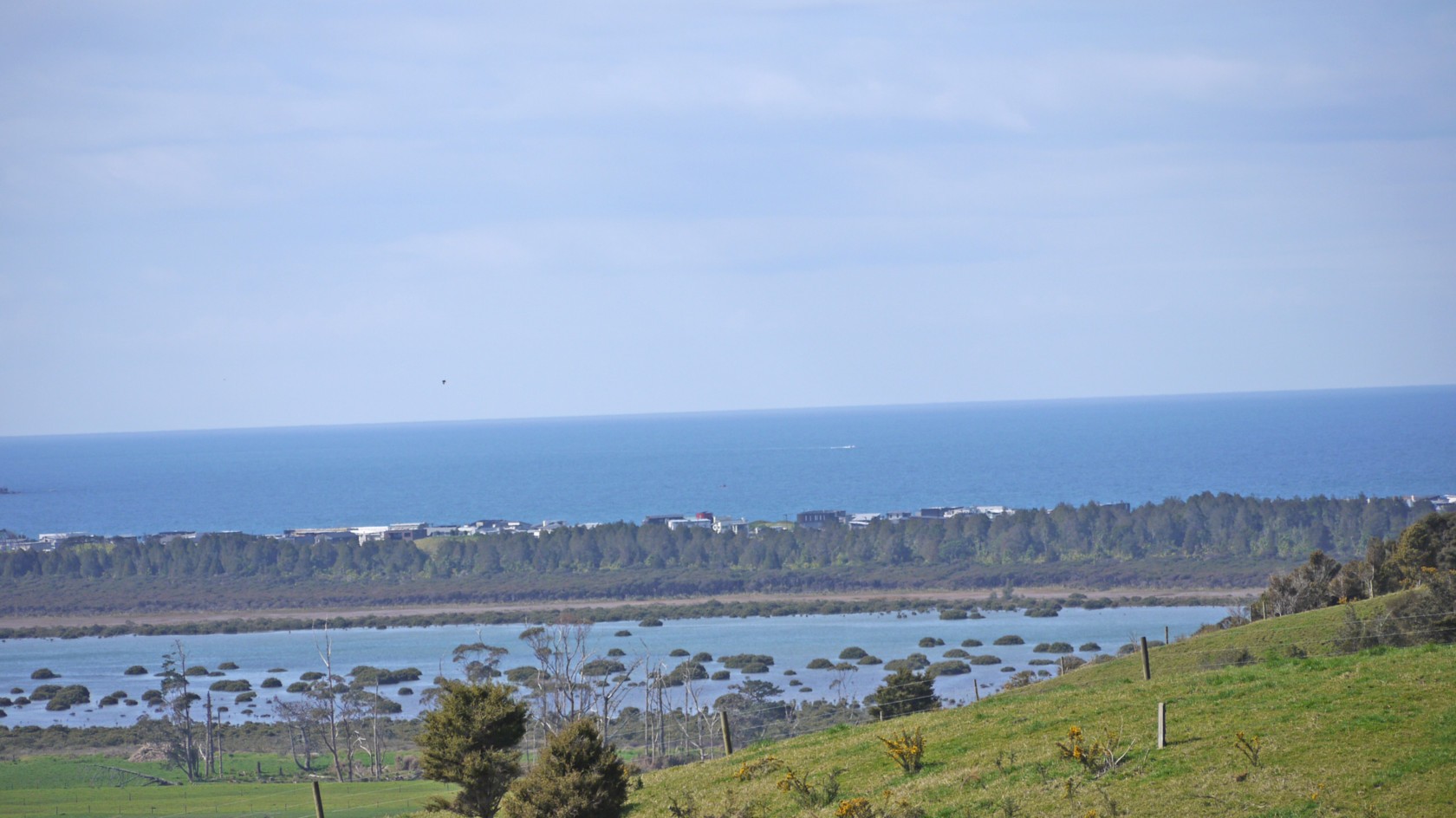 MATAKANA, Rodney