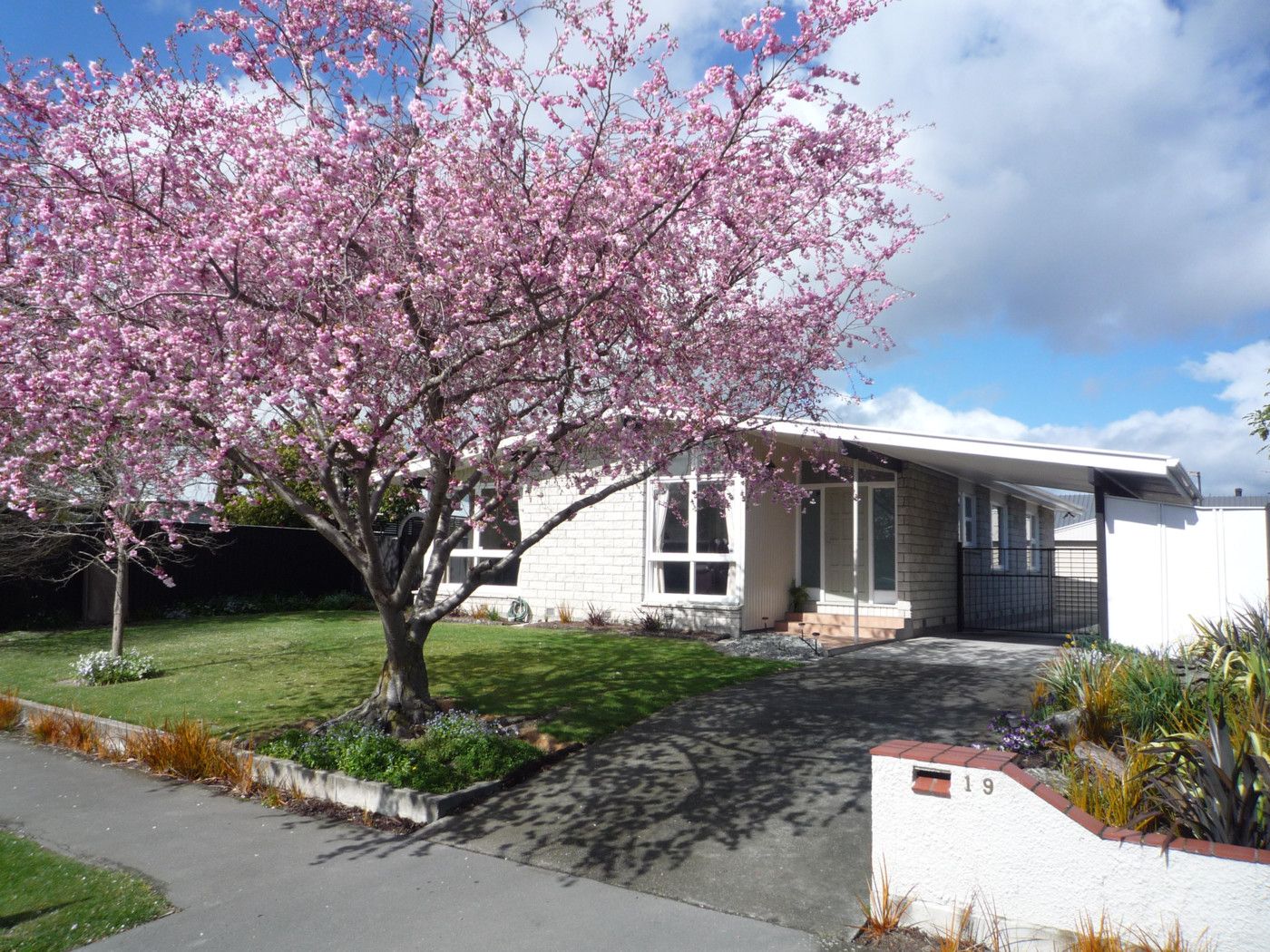 19 Talltree Avenue, AVONHEAD, Christchurch City