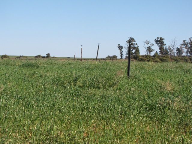 Sec 812 Middleton Road, LOXTON, SA 5333