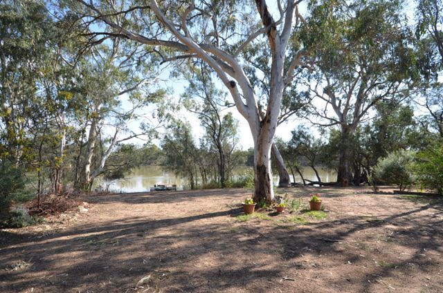 Lot 12 Idyll Acres, MORGAN, SA 5320