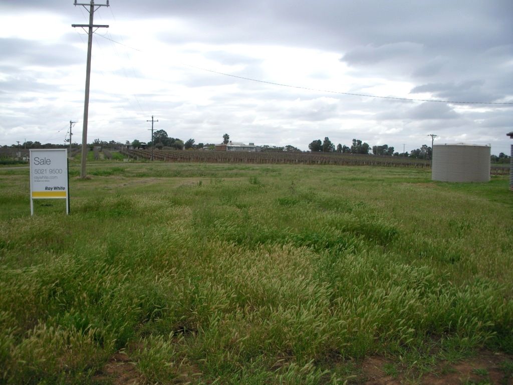 Lot 1 Hazel Road, RED CLIFFS, VIC 3496
