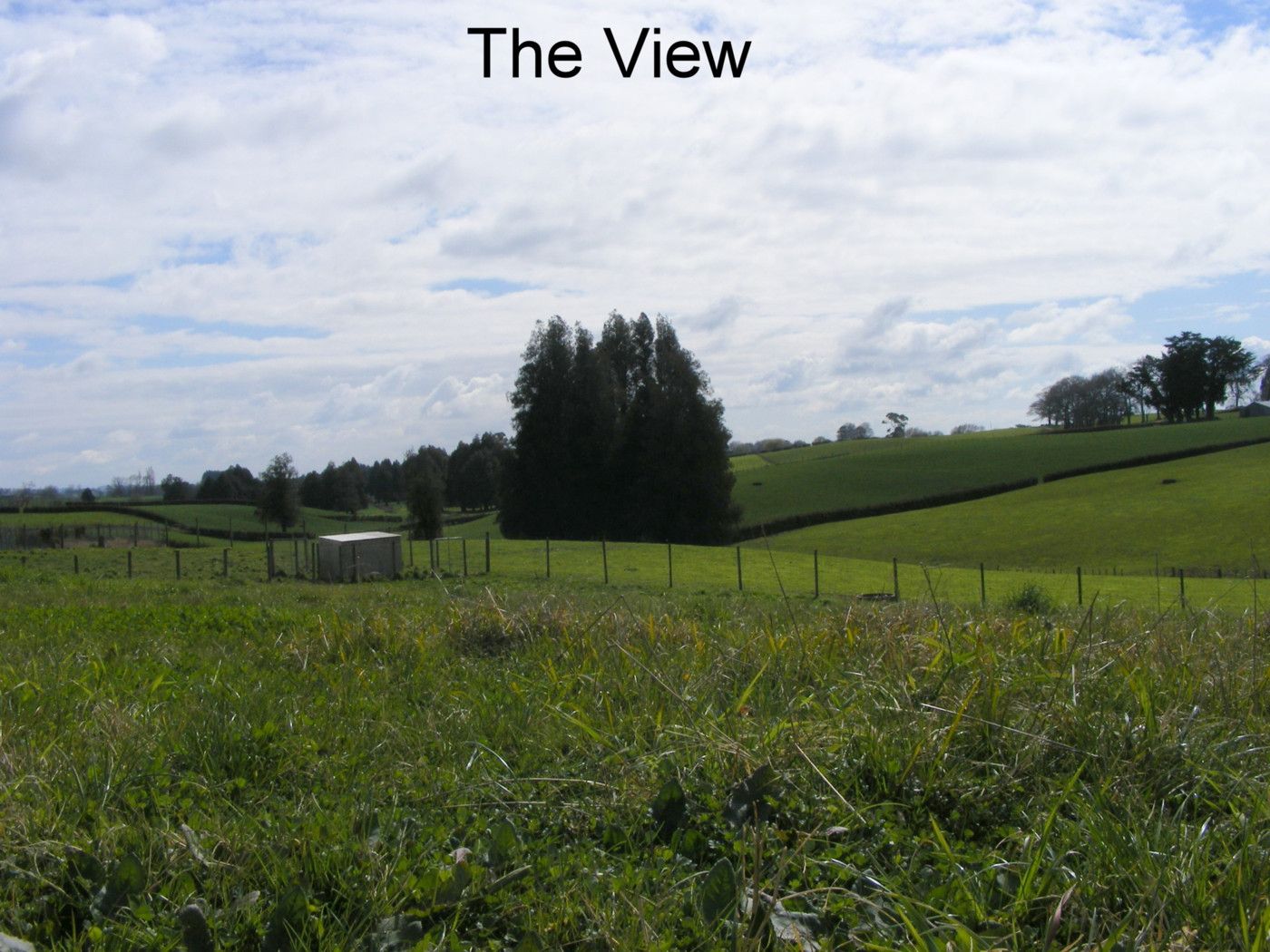 0 Puahue Road, TE AWAMUTU, Waipa District
