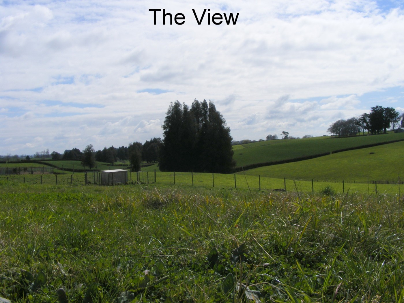 0 Puahue Road, TE AWAMUTU, Waipa District