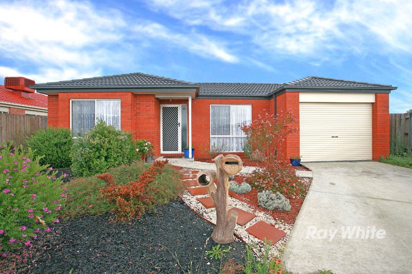 16 Bellbrae Crescent, CRANBOURNE, VIC 3977