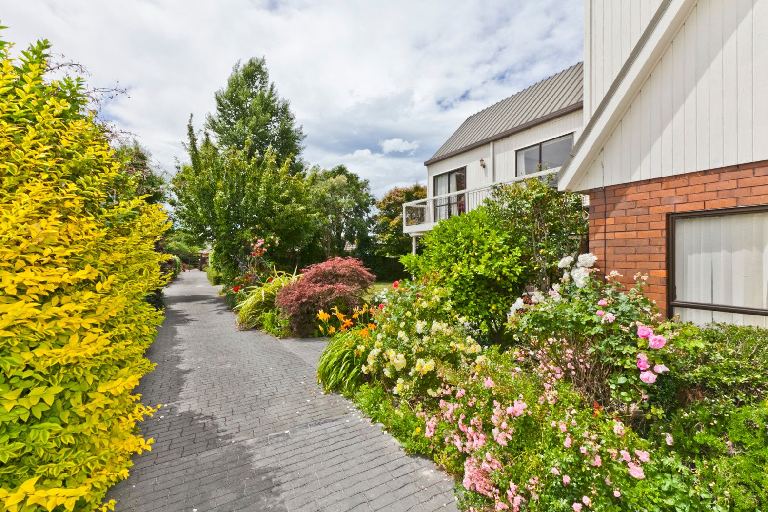 36 Westgrove Avenue, AVONHEAD, Christchurch City
