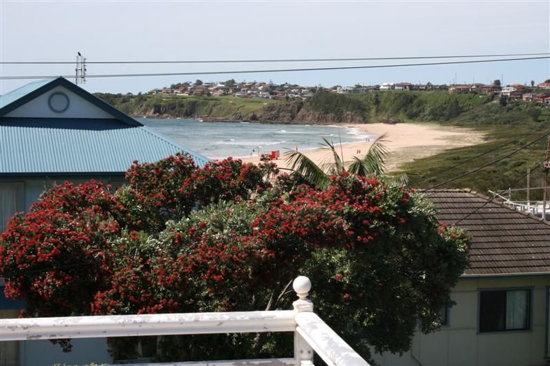 49 Johnson Street, KIAMA DOWNS, NSW 2533