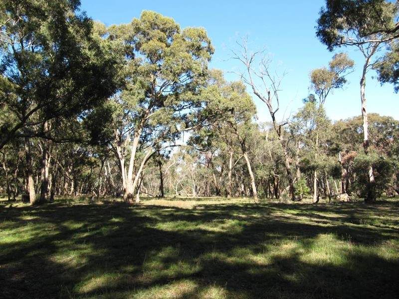7 South Lane, KYNETON, VIC 3444
