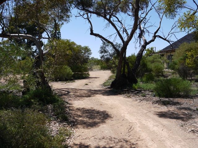 99 J C Smith Road, BERRI, SA 5343