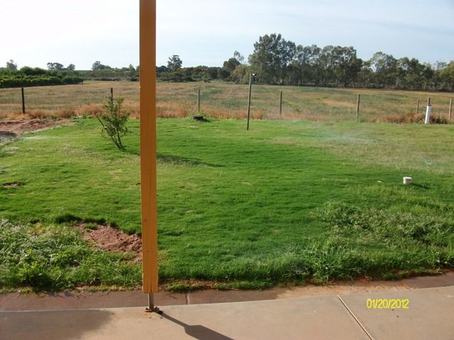15 Maple Street, BARMERA, SA 5345