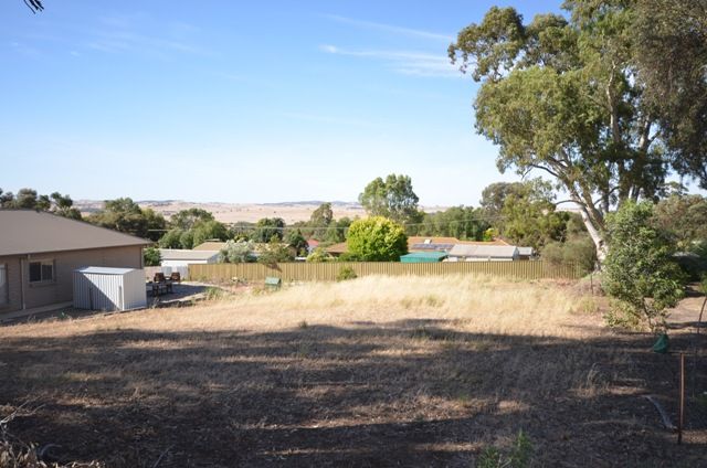 Lot 525 South Terrace, KAPUNDA, SA 5373