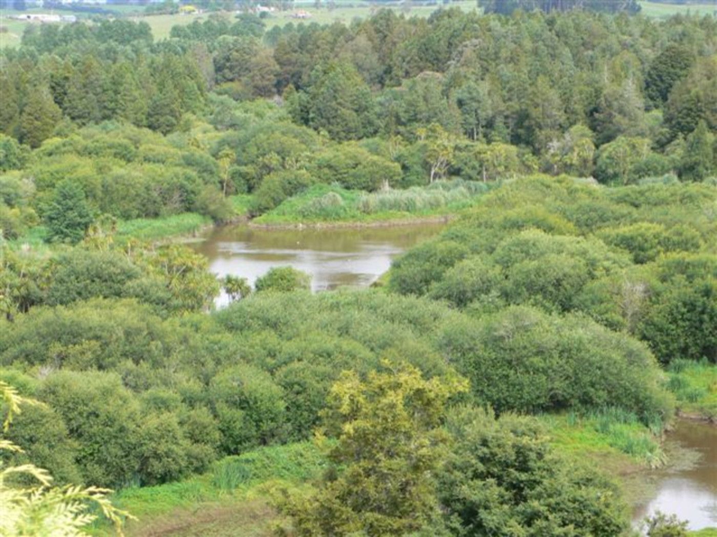Pukekawa, Waikato District