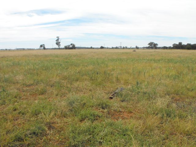 Sunrise 235 Ravenswood Road, TRUNDLE, NSW 2875