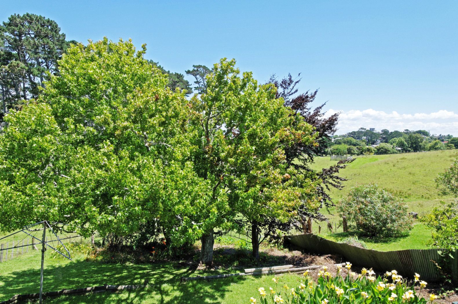 338 Riddell Road, GLENDOWIE, Auckland City