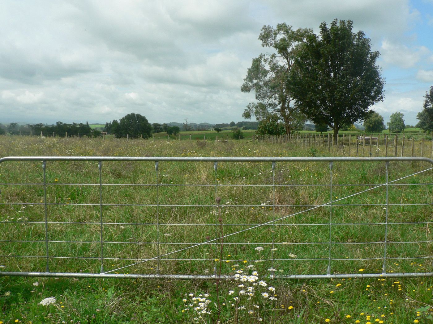 20 McAndrew Street, KIHIKIHI, Waipa District
