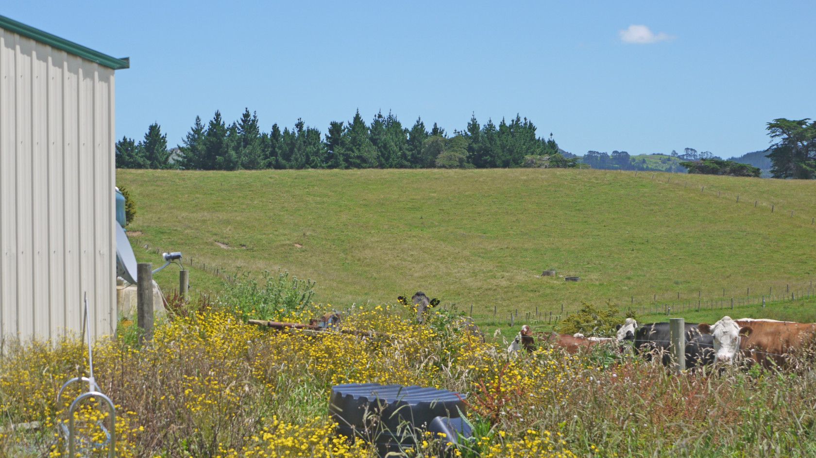 WARKWORTH, Rodney