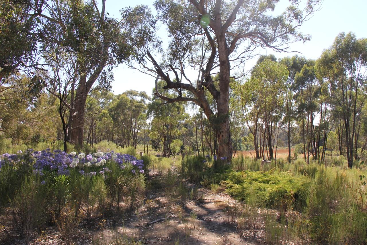 34 Dealba Road, HEATHCOTE, VIC 3523