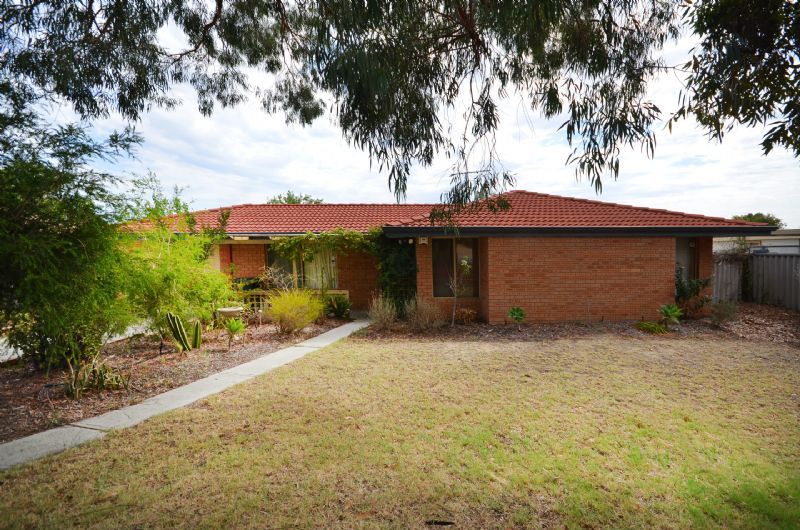 8 Magna Cove, MIRRABOOKA, WA 6061