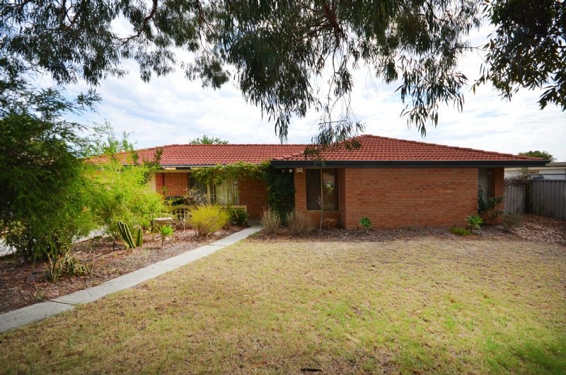 8 Magna Cove, MIRRABOOKA, WA 6061