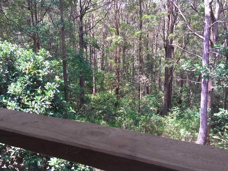 77  Jones Road, BUDERIM, QLD 4556