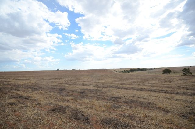  Fords Road, KAPUNDA, SA 5373
