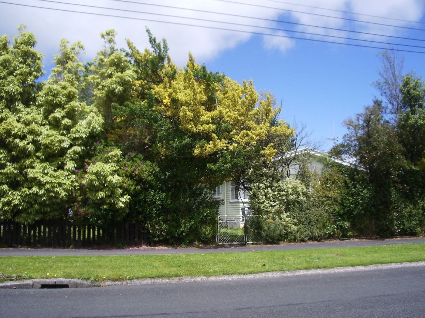 60 Carrington Avenue, HILLCREST, Hamilton City