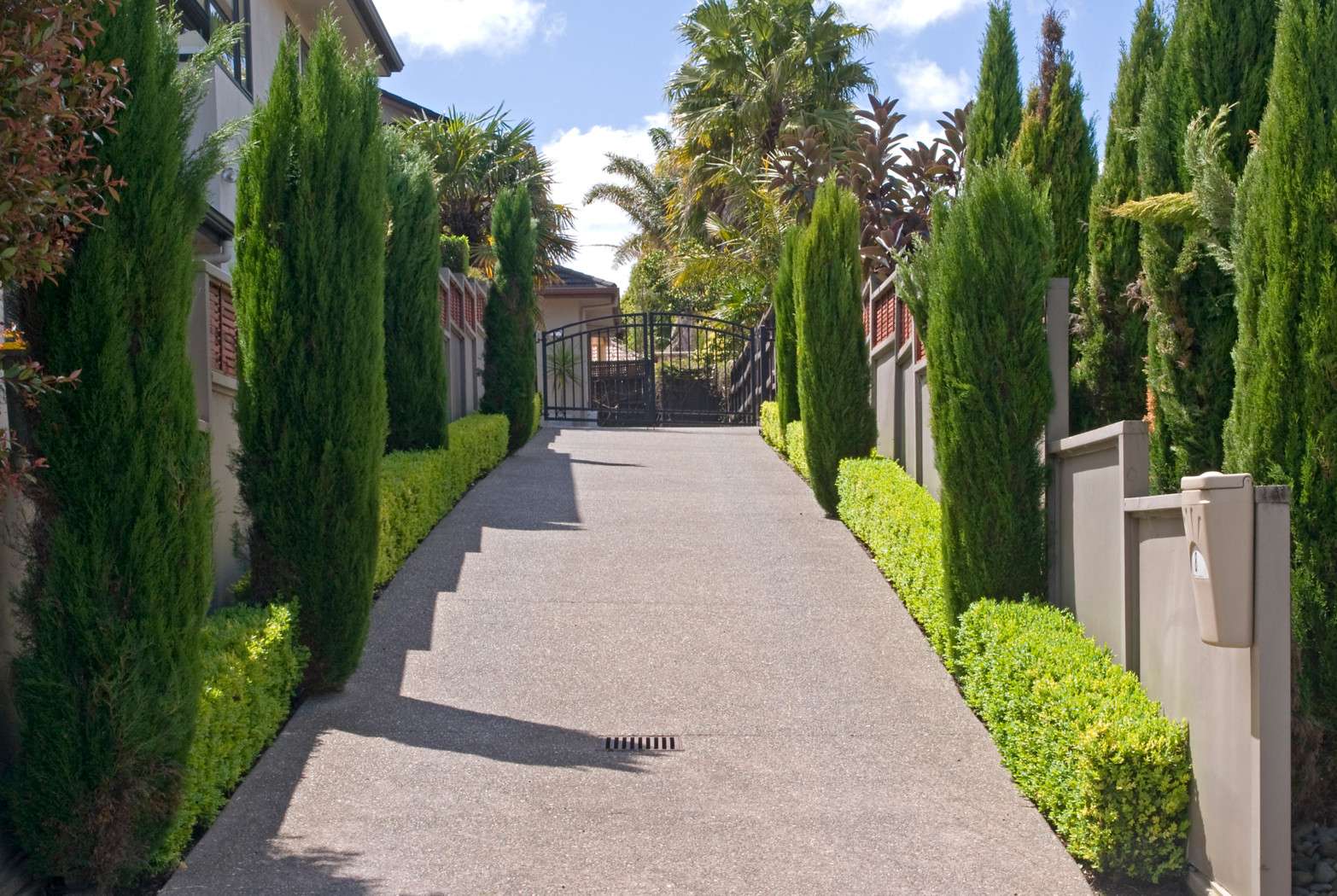 8 Nicholas Road, Somerville, Manukau City Real Estate Ray White New