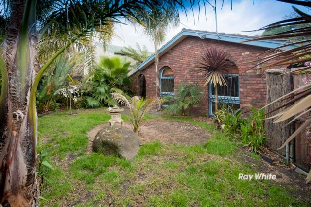81 Heatherhill Road, FRANKSTON, VIC 3199